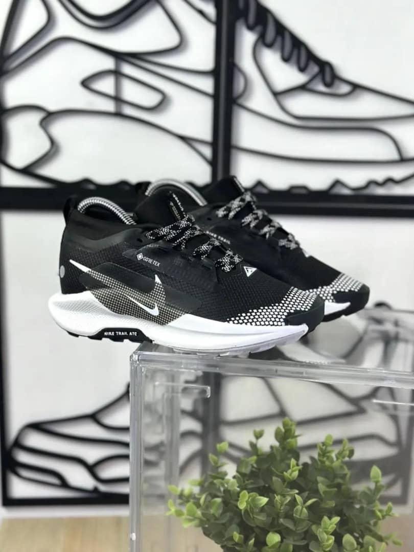 Vignette 3 : La Nike Pegasus Trail 5 GORE-TEX