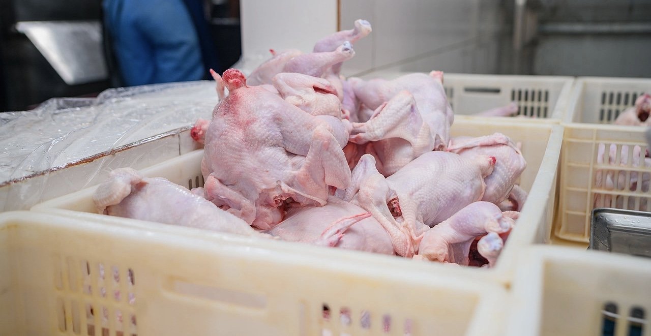 Vignette 5 : POULET LOCALE BIO FRAÎCHEMENT ABBATU