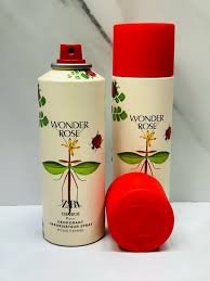 Vignette 5 : Deodorant Zara