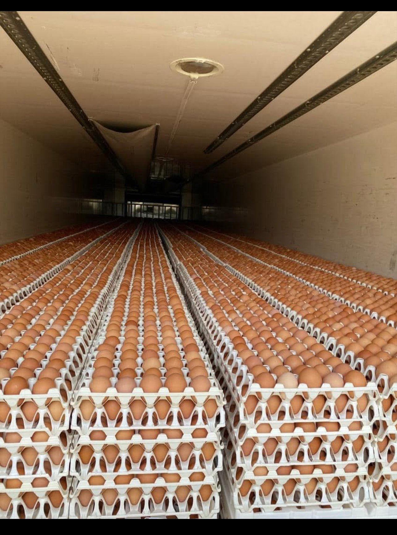 Vignette 3 : PLATEAU D’ŒUFS