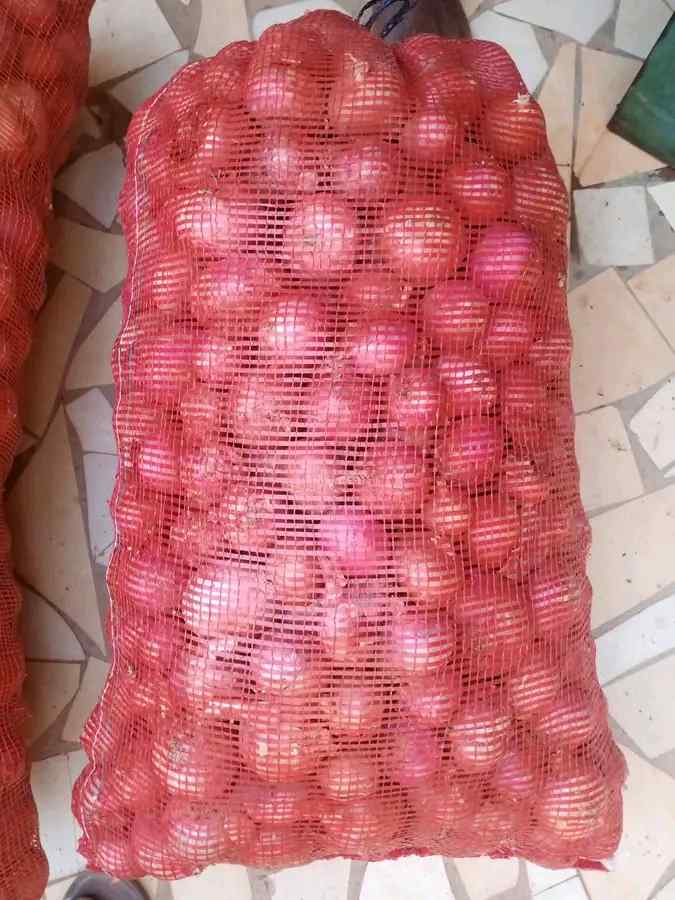 Vignette 3 : ENTREPRISE DJOEVAN (Fournisseur agricole sac d'oignon de 25 kg à 100 kg Burkina Togo)