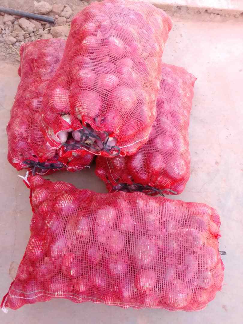 Vignette 2 : ENTREPRISE DJOEVAN (Fournisseur agricole sac d'oignon de 25 kg à 100 kg Burkina Togo)