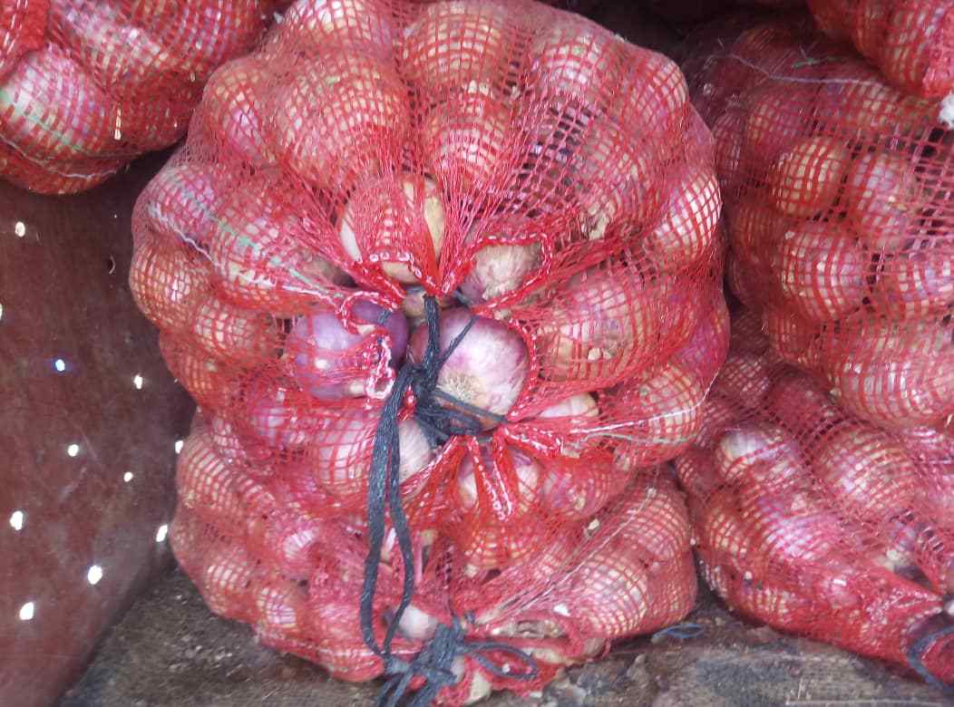 Vignette 4 : ENTREPRISE DJOEVAN (Fournisseur agricole sac d'oignon de 25 kg à 100 kg Burkina Togo)