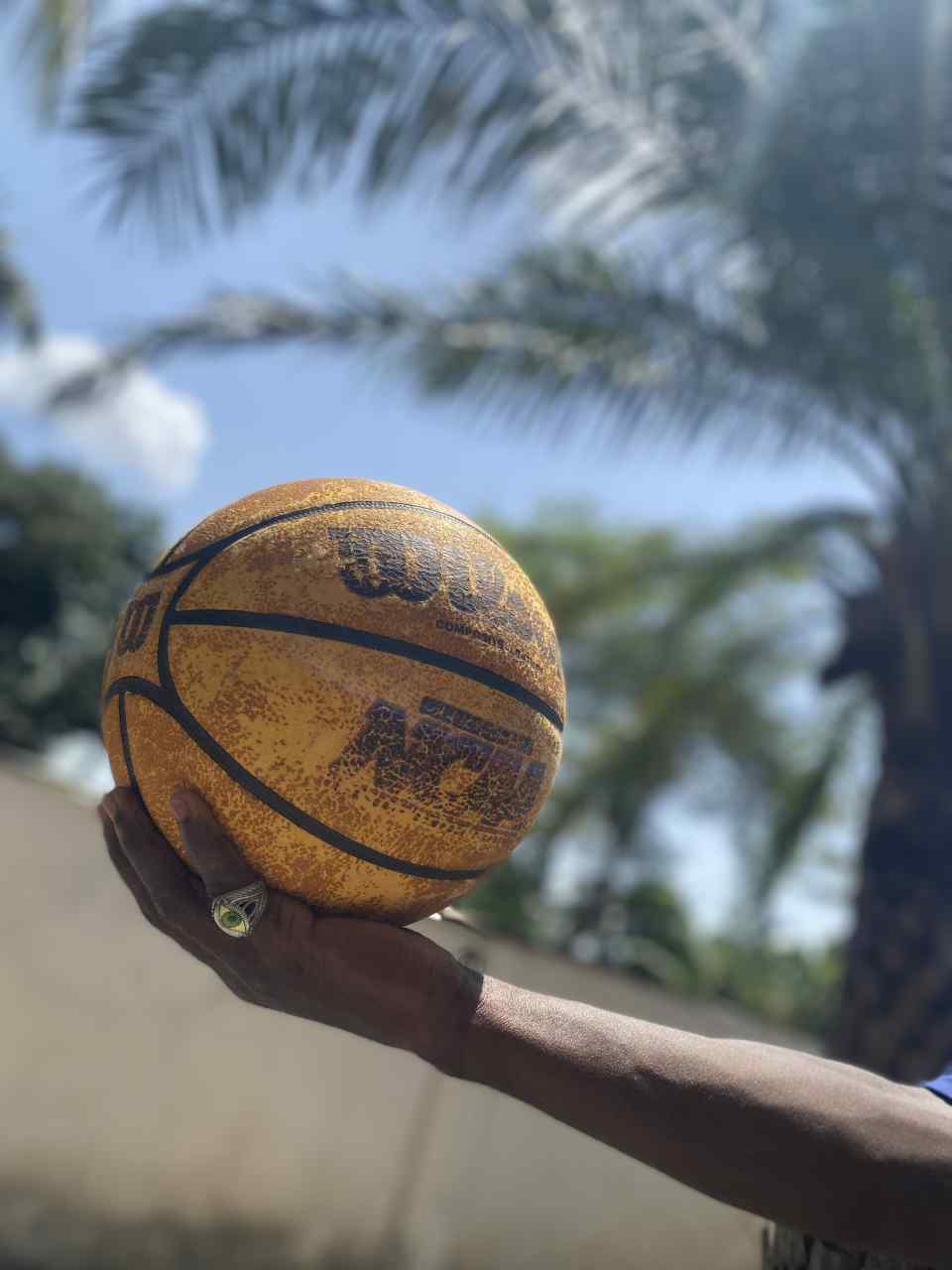 Vignette 3 : Ballon de basket