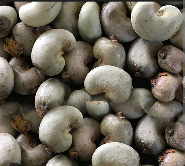 Vignette 4 : Noix de cajou